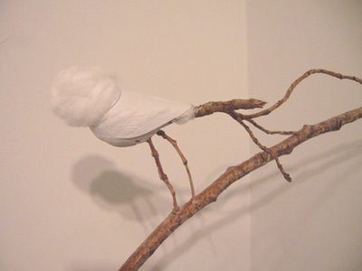 Misako Inaoka  cotton head
