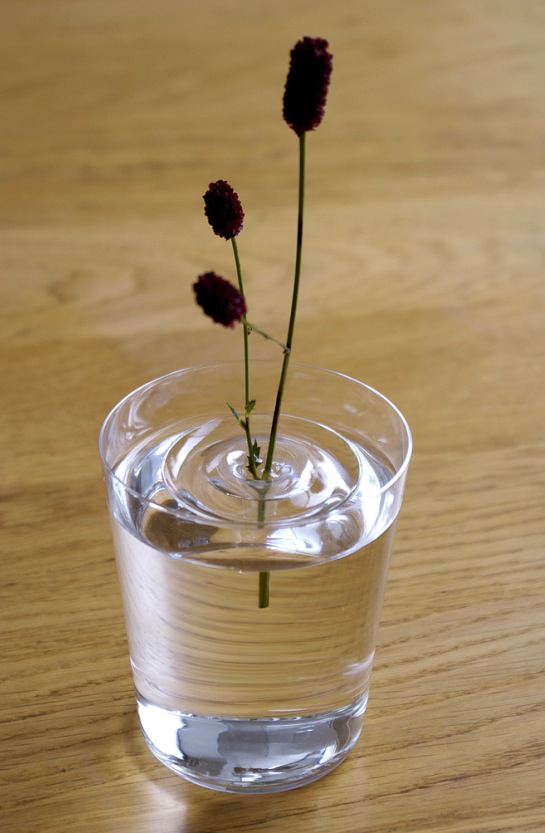 Floating Ripple Vases: Oodesign