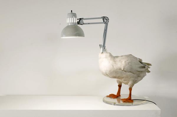 Sebastian Errazuriz Duck lamp