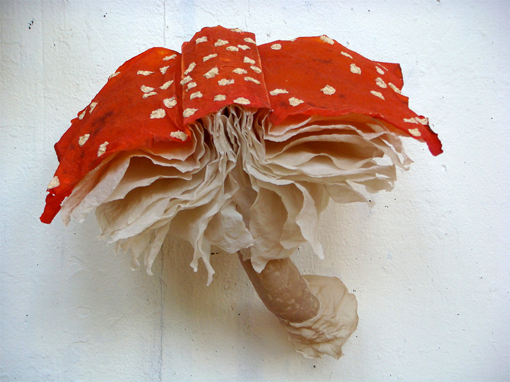 Mushroom Book Installations di Melissa Jay Craig