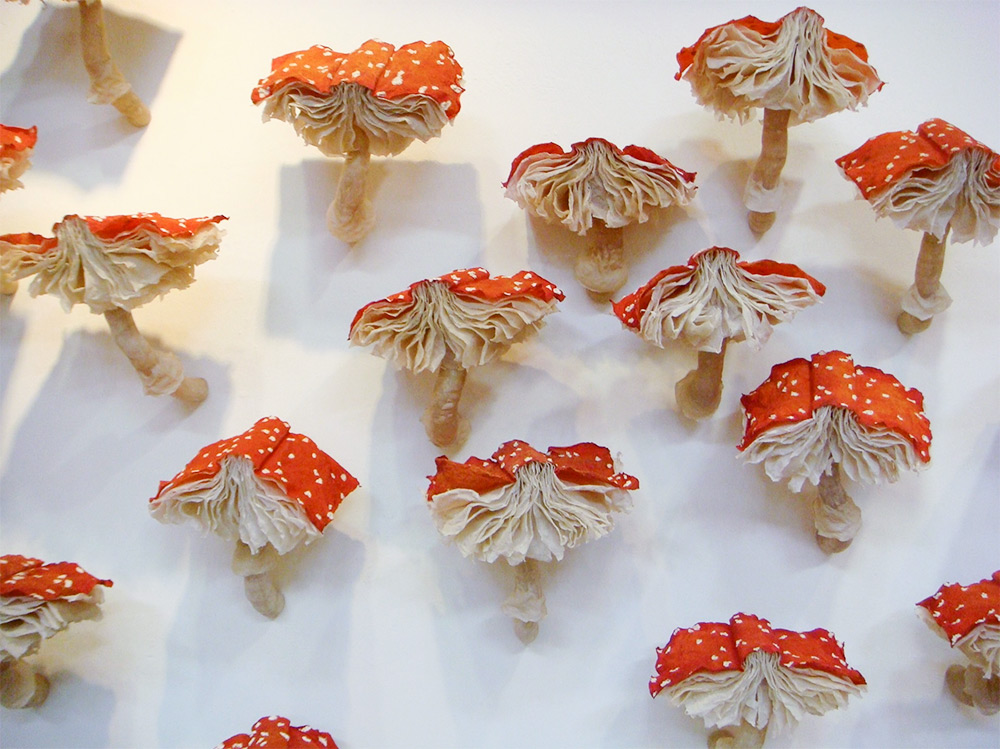 Mushroom Book Installations di Melissa Jay Craig