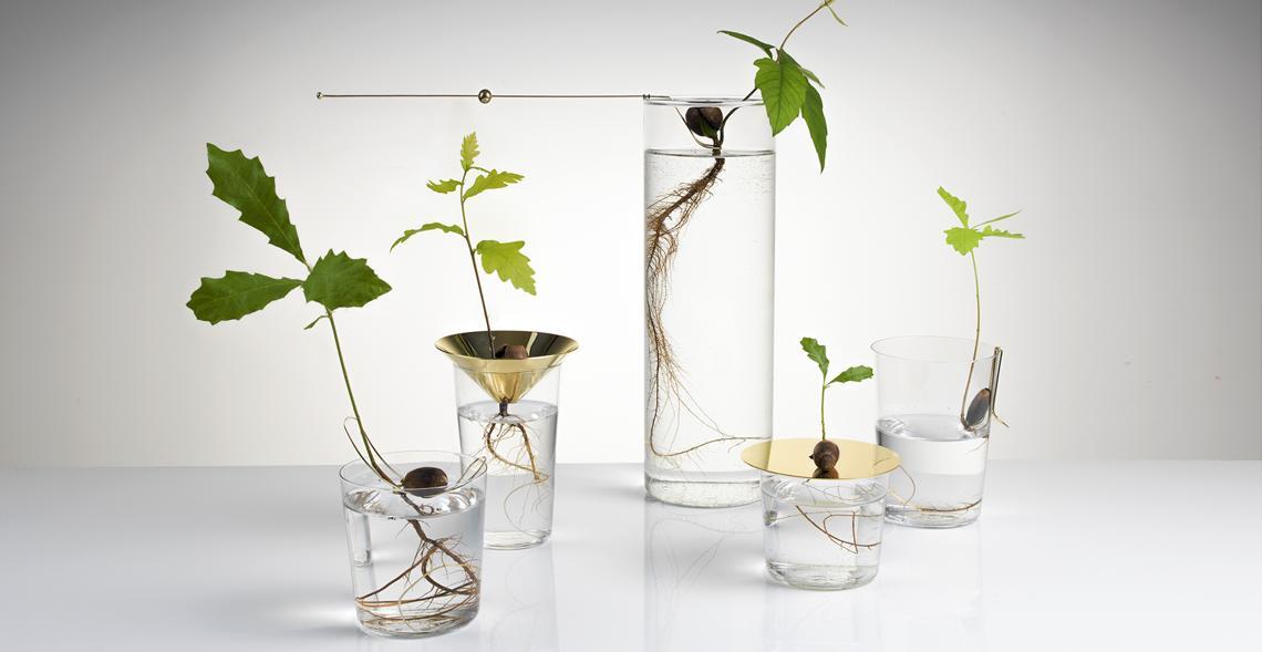 Floating Forest Michael Anastassiades
